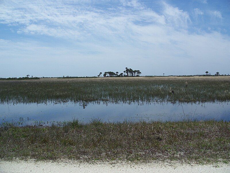 File:Kissimmee Prairie PSP01.jpg