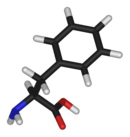 3D structure of L-phenylalanine