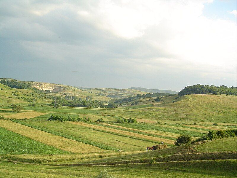 File:Landscape in Transylvania.jpg