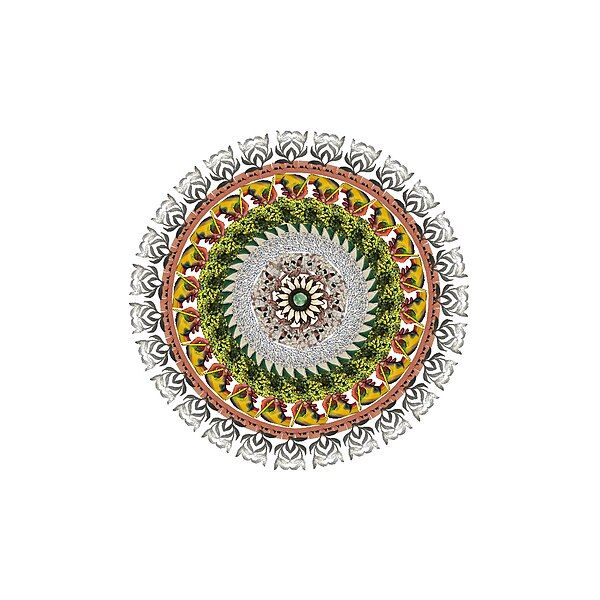 File:Mandala1.jpg