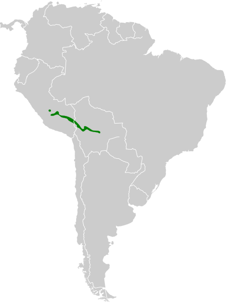 File:Metallura aeneocauda map.svg