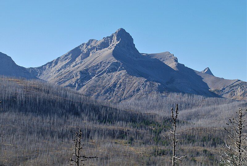 File:Mount Coulthard, Alberta.jpg