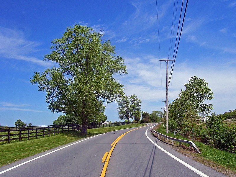 File:NY 416.jpg