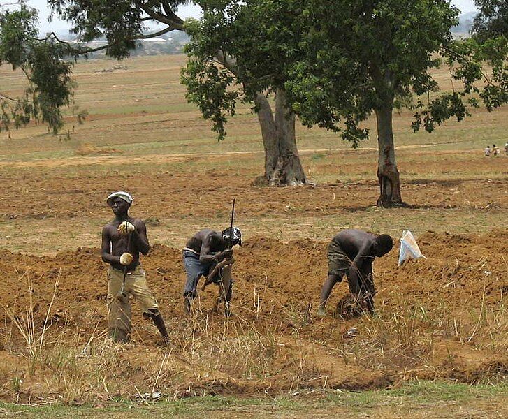 File:Nigerian farmers.jpg