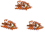 1ya3: Crystal structure of the human mineralocorticoid receptor ligand-binding domain bound to progesterone and harboring the S810L mutation responsible for a severe form of hypertension