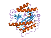 2b3h: Crystal structure of Human Methionine Aminopeptidase Type I with a third cobalt in the active site