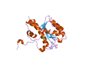 2fby: WRN exonuclease, Eu complex