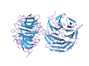 2h68: Histone H3 recognition and presentation by the WDR5 module of the MLL1 complex