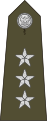 Rotmistrz (Polish Land Forces)[15]