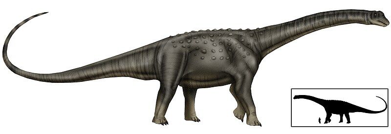 File:Puertasaurus copia.jpg