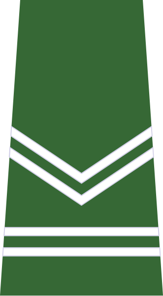 File:ROTU-Army-Int-Cpl.svg