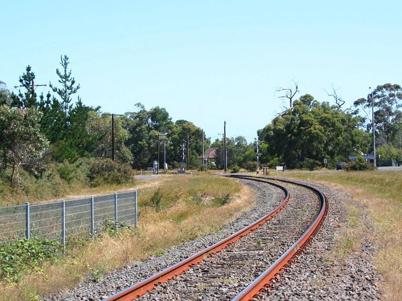 File:Railline-bittern.jpg