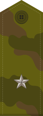 File:Russia-Army-OF-3-camo.svg