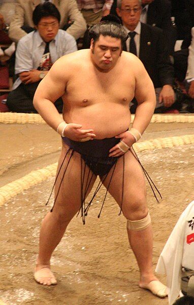 File:Sumo May09 Tochiozan.jpg