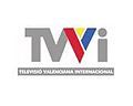 Logo as TVVI, from 2005 to 2008.