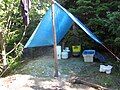 A tent created from string, logs, and tarp