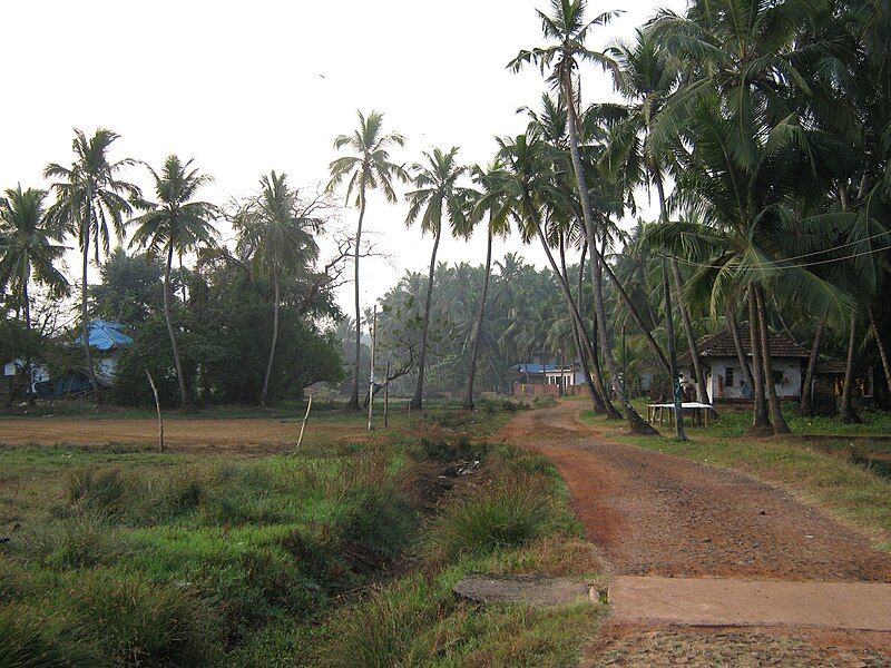 File:Valapattanam 16.jpg