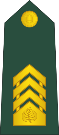 File:07-Slovenian Army-MSG.svg