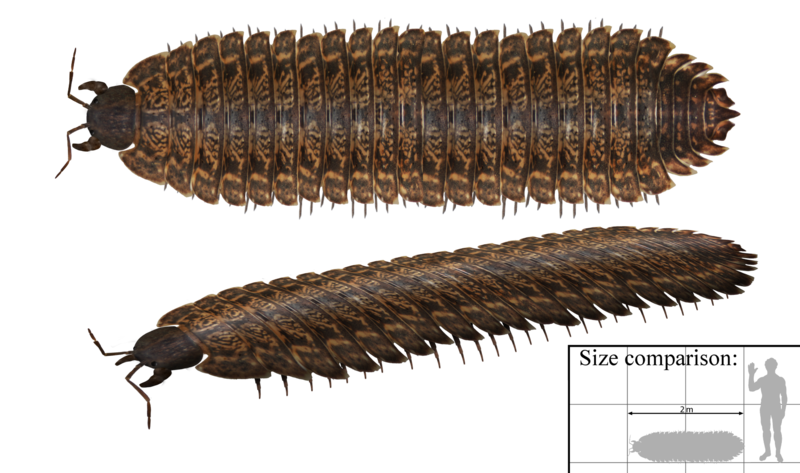 File:Arthropleura.png