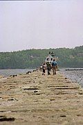 View from the north end of the breakwater