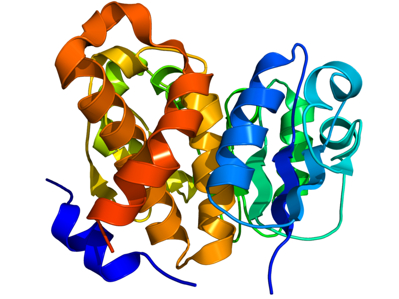 File:Carbohydrate kinase 1KYH.png