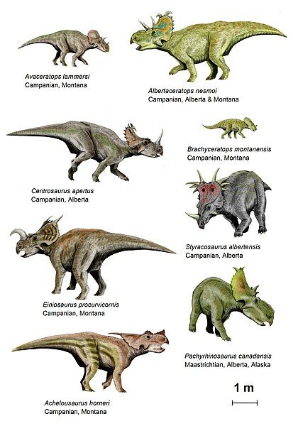 File:CeratopsianII BW.jpg