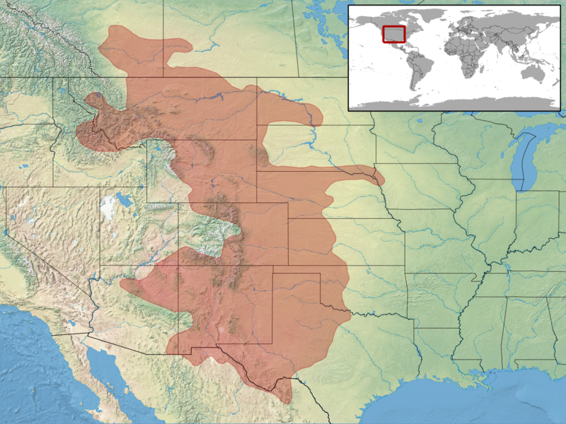 File:Crotalus viridis distribution.png