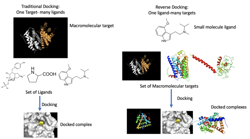 File:Docking-reverse and classical.png