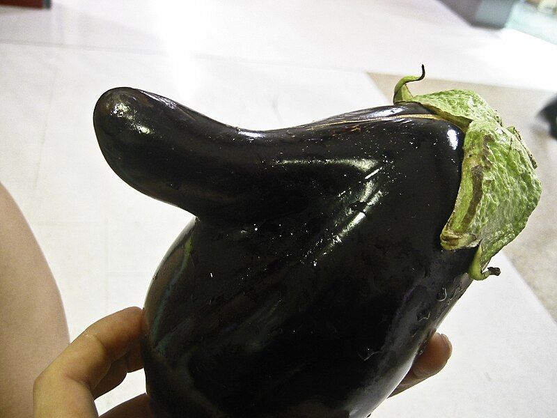 File:Eggplant mutant.jpg