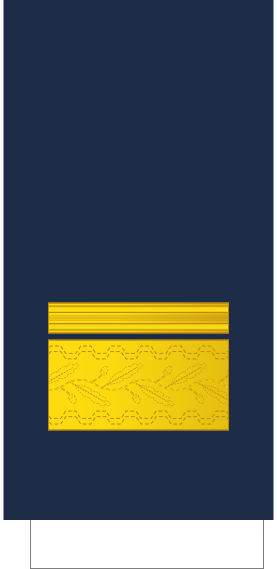 File:Finland-AirForce-OF-7-sleeve.svg