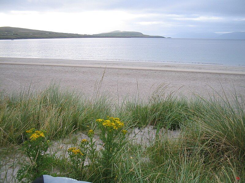 File:Ireland dingle beach.jpeg