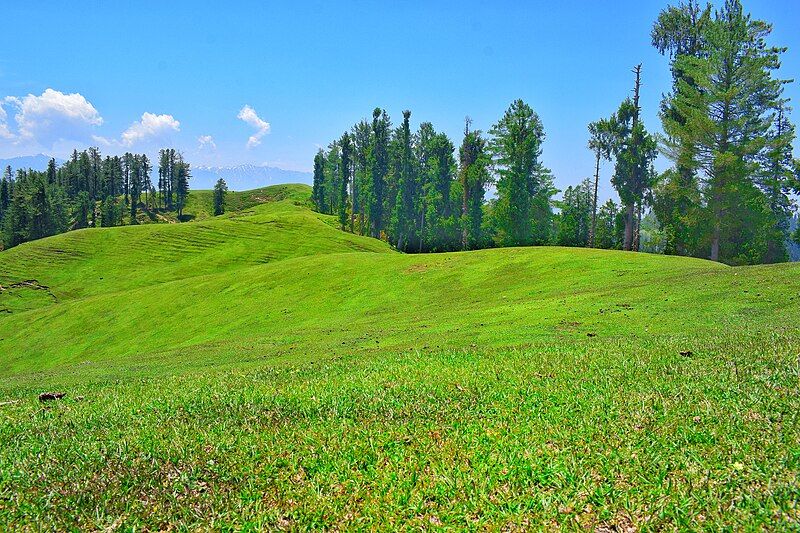 File:Jantroon Meadow.jpg