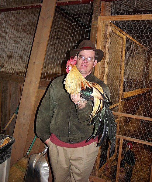 File:Malcolm with rooster.jpg