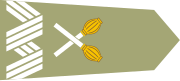 Marshal of Poland shoulder-strap insignia