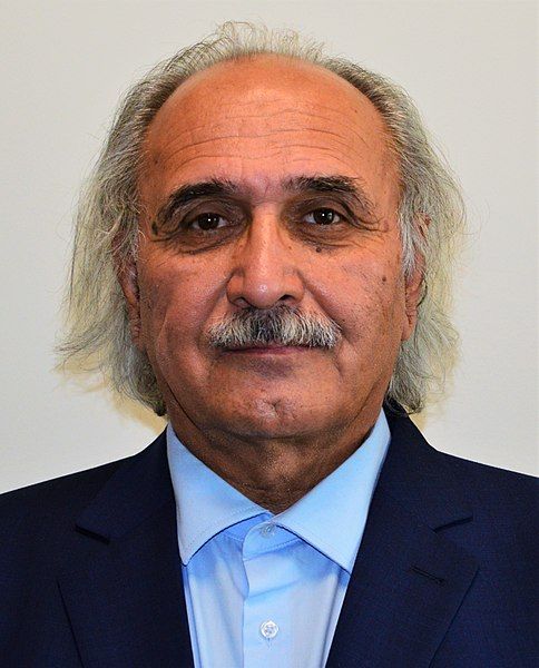 File:Partaw Naderi.jpg