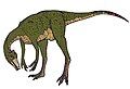 Pelecanimimus