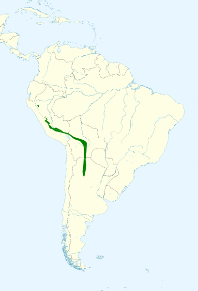 File:Psittacara mitratus map.svg