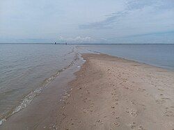 Roaring Point at low tide