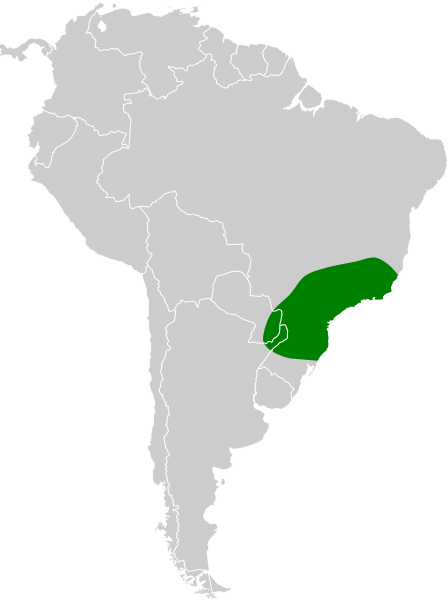 File:Synallaxis ruficapilla map.svg