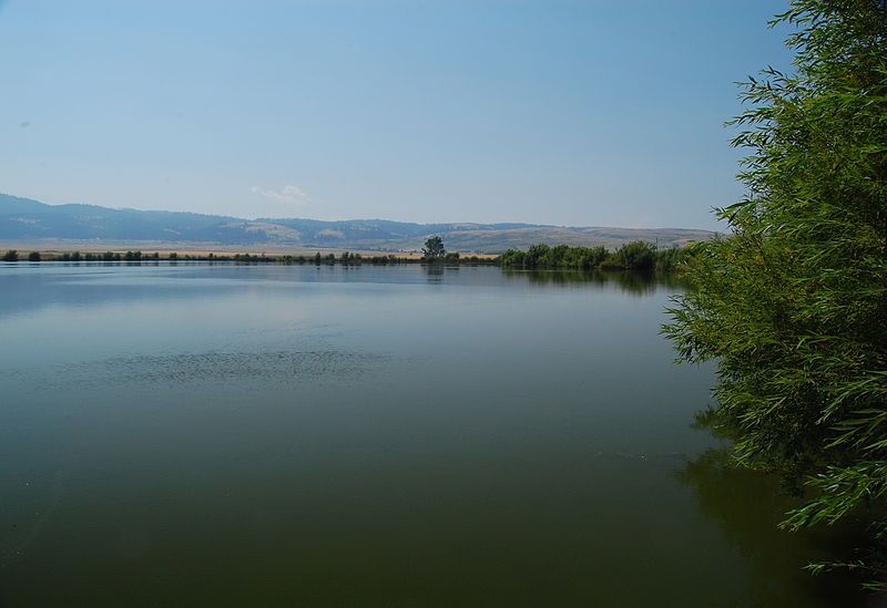 File:Tolo-lake-idaho-august-2010-roger-peterson-006 (5623157536).jpg