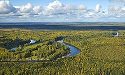 View of the Vasyugan River