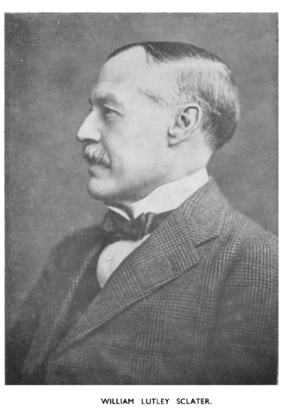 File:William Lutley Sclater.PNG