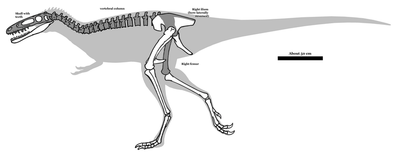 File:Xiongguanlong remains 01.png