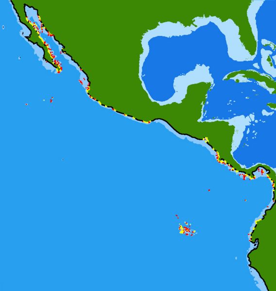 File:Acanthemblemaria range.png