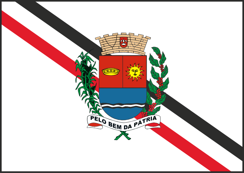 File:Bandeira de Araras.svg