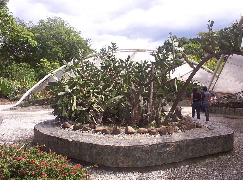 File:Botanical Garden Medellin.JPG