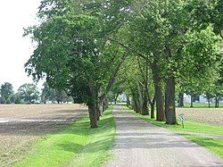 Tree-lined farmstead driveway on Morral-Kirkpatrick Road