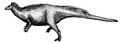 Camptosaurus