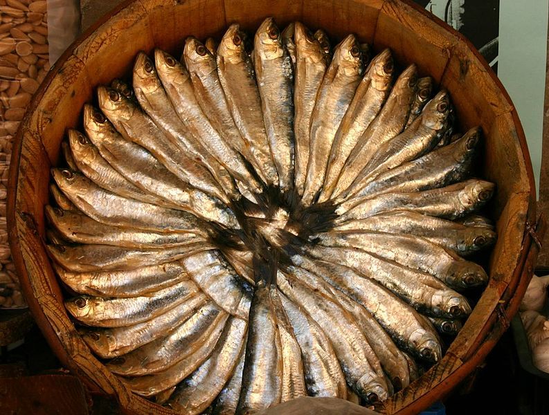 File:Cuba de sardinas.jpg