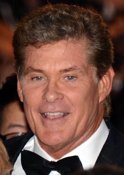 File:David Hasselhoff 2013.jpg